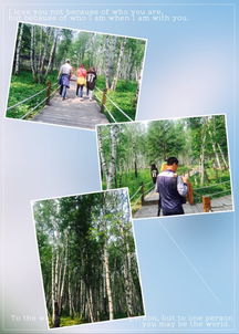草原深處的召喚 呼倫貝爾之行留下六日美好回憶