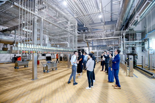 法國曼氏新工廠落地中國平湖 香精產業與廈門動漫游戲開發并行發展