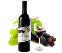 國(guó)產(chǎn)紅酒的崛起與發(fā)展